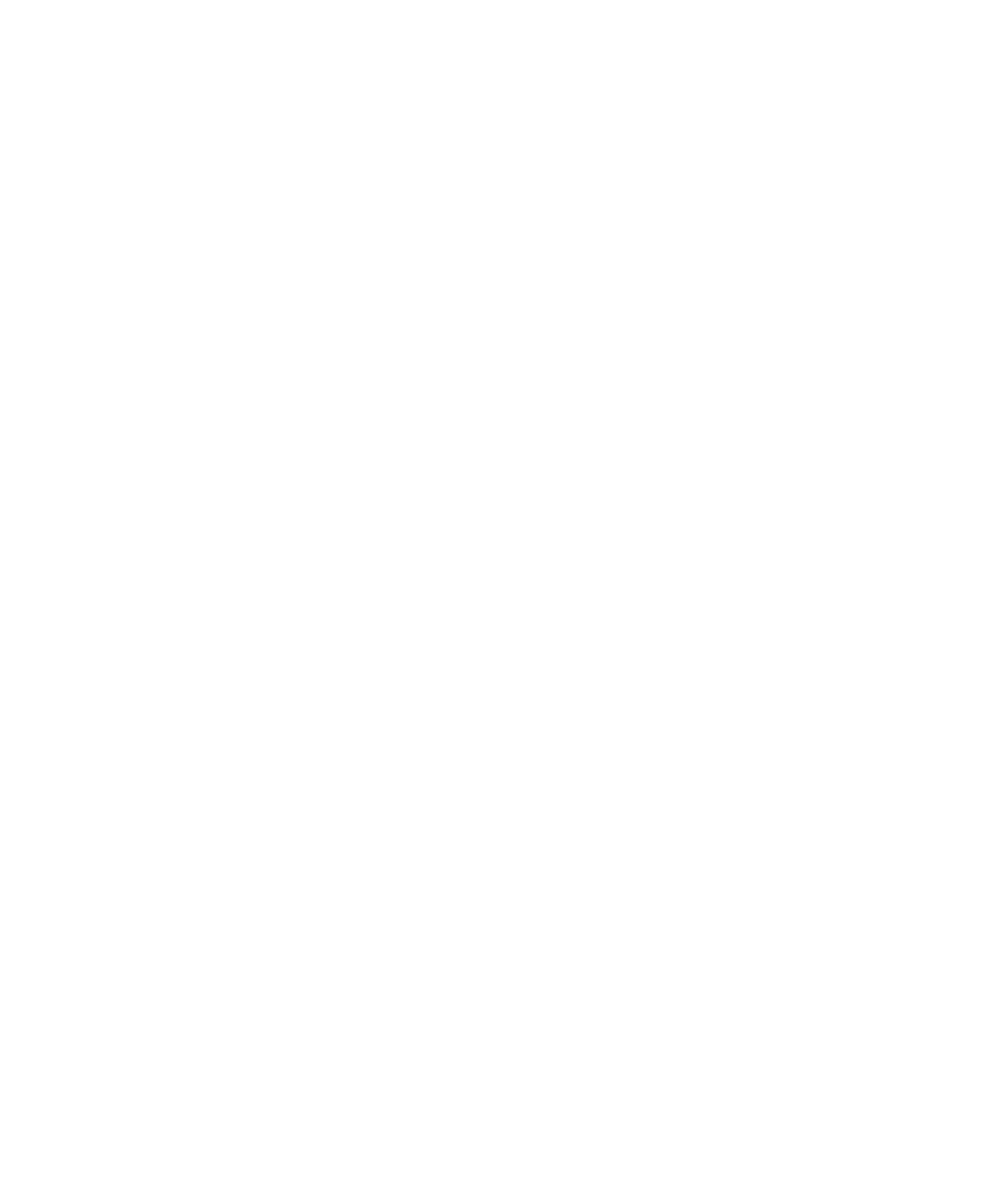 Triviix Sdn Bhd